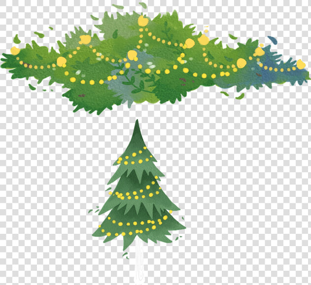 Spruce Fir Tree Christmas Pine Free Download Image   Illustration  HD Png DownloadTransparent PNG