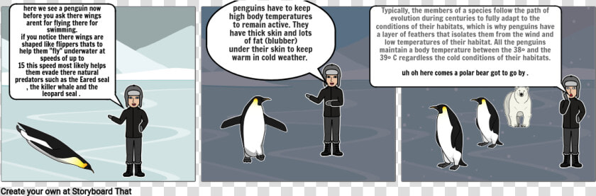 Emperor Penguin  HD Png DownloadTransparent PNG