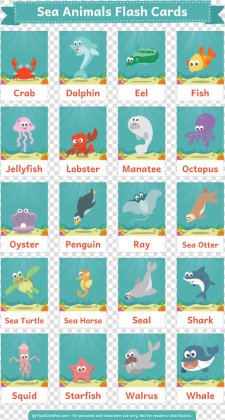 Sea Animals Flashcards Printable   Png Download   Sea Animals Flashcards Printable  Transparent PngTransparent PNG