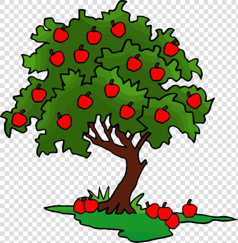 Clip Art Apple Tree Clipart   Apple Tree Clipart  HD Png DownloadTransparent PNG