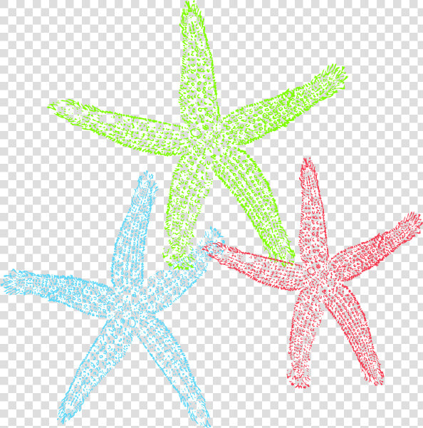 Starfish Public Domain Clipart   Free Starfish Clip Art  HD Png DownloadTransparent PNG