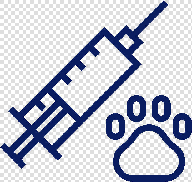 Vaccine Iconfinder  HD Png DownloadTransparent PNG