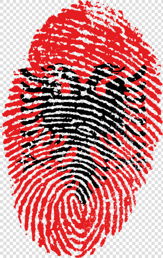 Somalia Flag Fingerprint  HD Png DownloadTransparent PNG