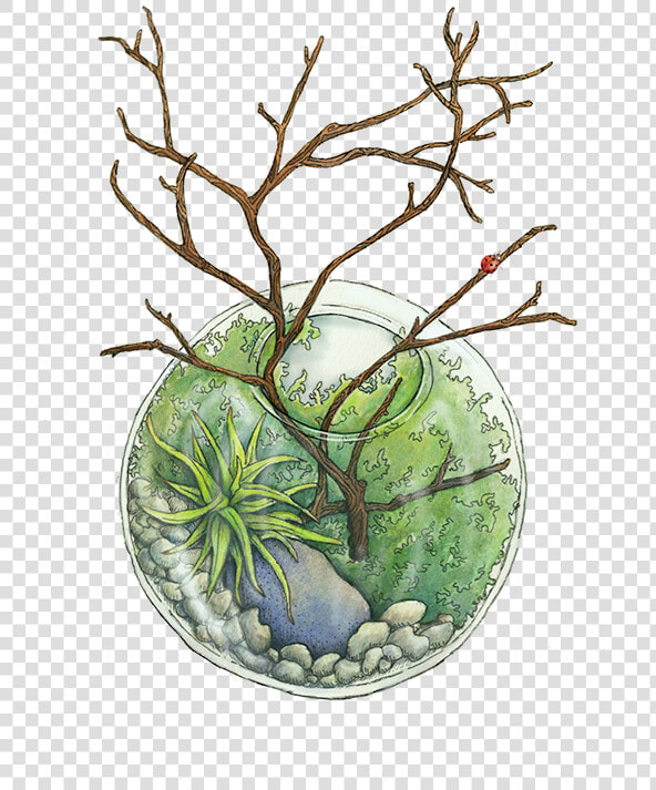 Terrarium Watercolor  HD Png DownloadTransparent PNG