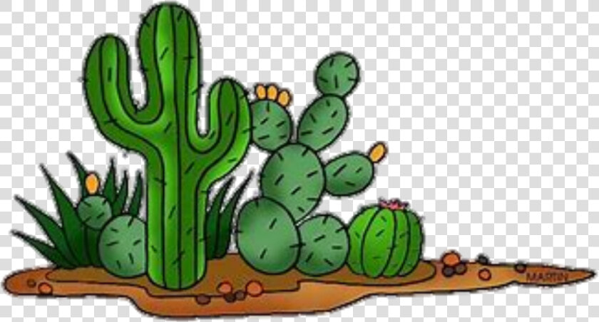  cactus  desert   Transparent Desert Cactus Clipart  HD Png DownloadTransparent PNG