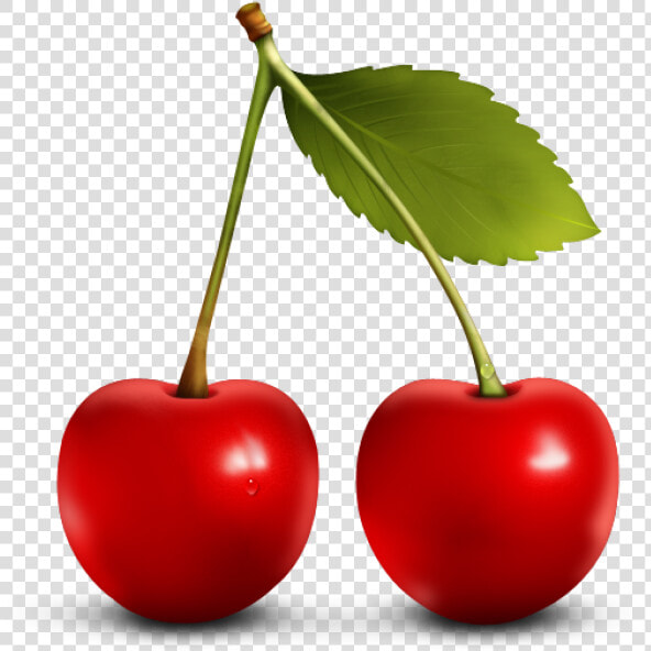 Cherry Png Free Download   Red Cherry Png  Transparent PngTransparent PNG