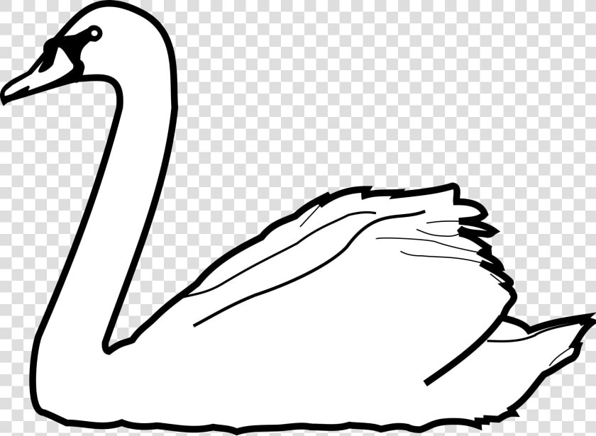 Swans Drawing At Getdrawings   Swan Clipart Png  Transparent PngTransparent PNG