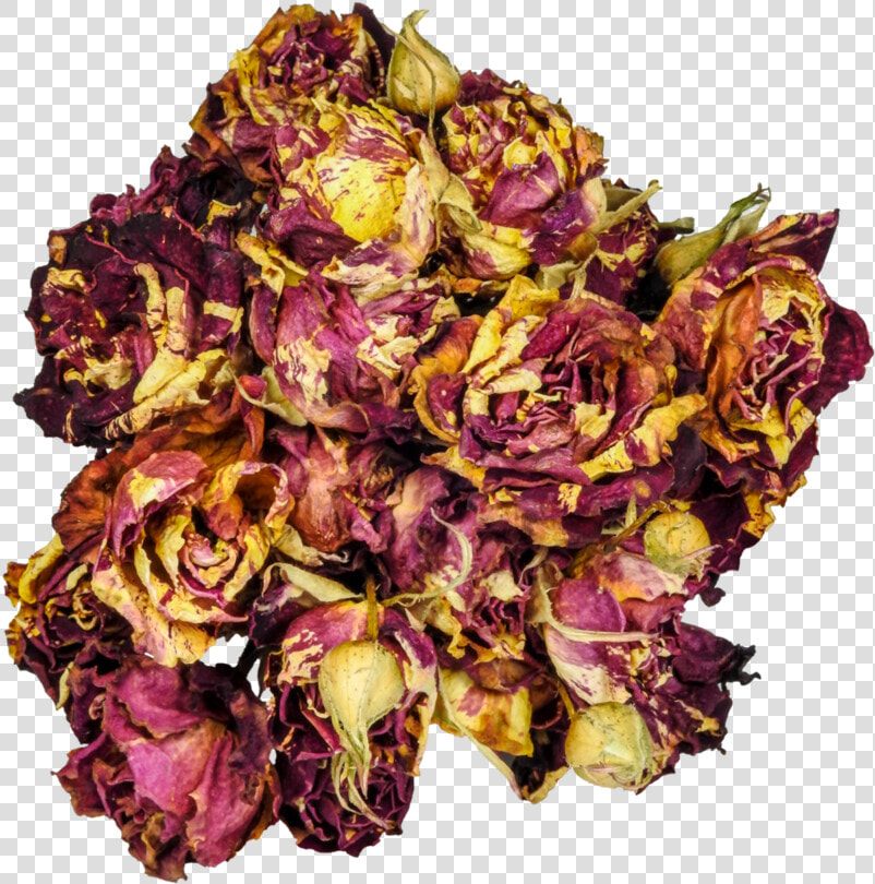 Clipart Rose Dead Rose   Dead Roses Png  Transparent PngTransparent PNG