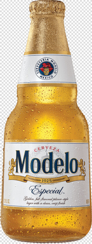 Modelo Especial  HD Png DownloadTransparent PNG