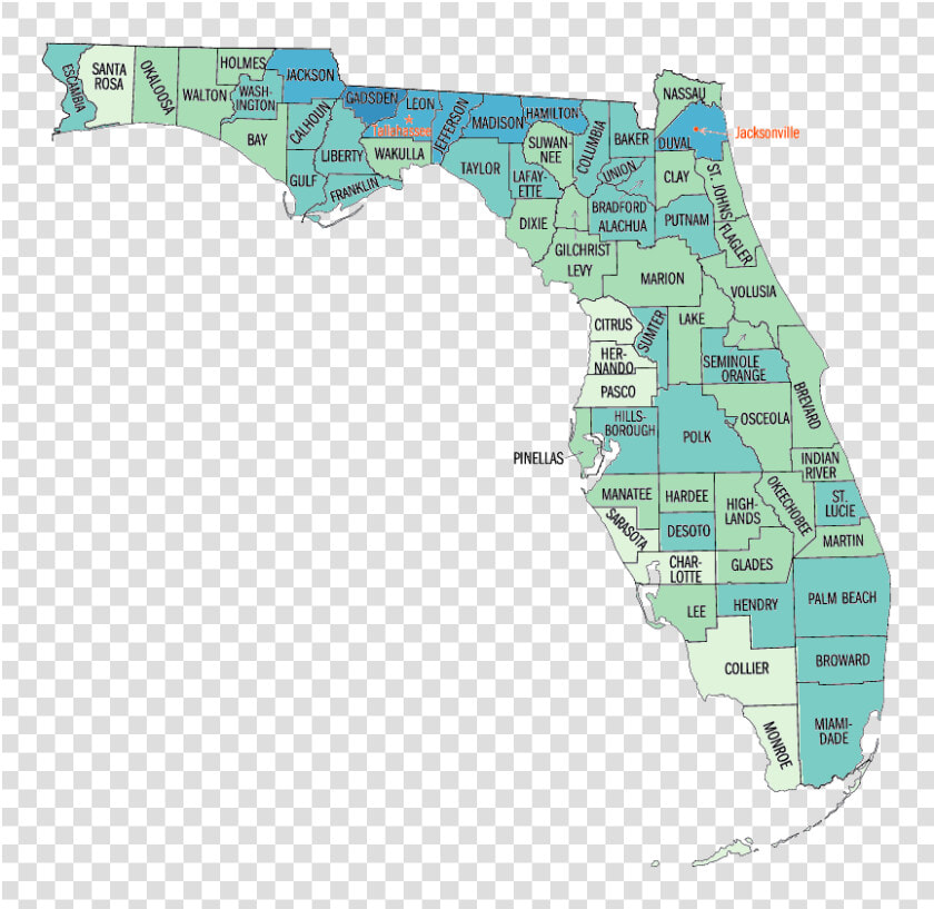 Black Or African American Persons  Percent    Florida Map By Regions  HD Png DownloadTransparent PNG