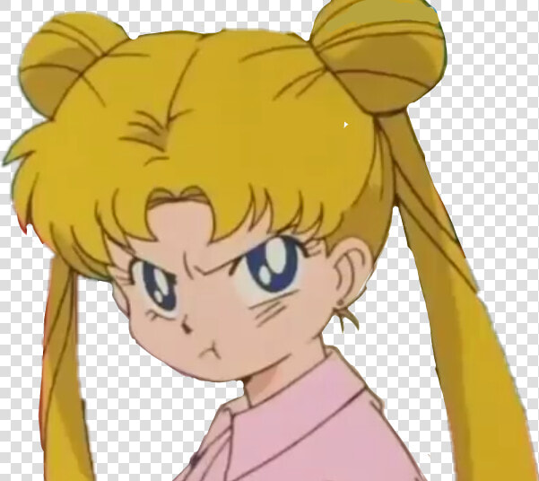  sailormoon  usagitsukino  aesthetic  sailormoonaesthetic   Aesthetic Sailor Moon Png  Transparent PngTransparent PNG