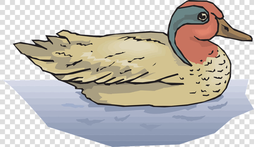 Duck   Mallard Ducks In Water Clipart  HD Png DownloadTransparent PNG