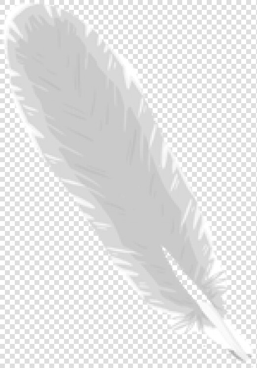 Feather Logo Png Image Download   Moths And Butterflies  Transparent PngTransparent PNG