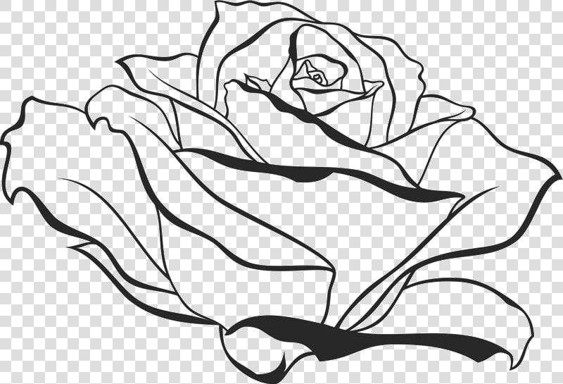 Side View Of Blooming   Rose Drawing Side View  HD Png DownloadTransparent PNG