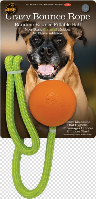 4 Best Friends Natural Rubber Pet Toys   Dog Catches Something  HD Png DownloadTransparent PNG