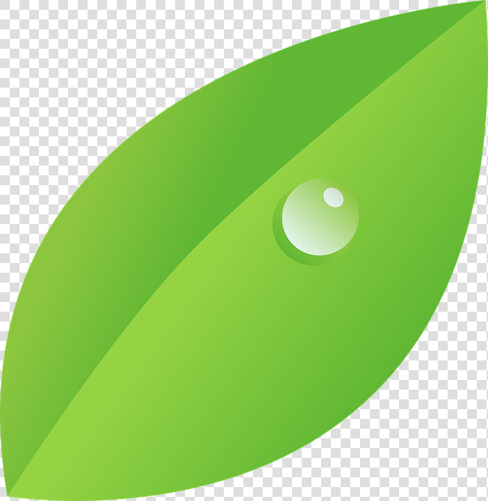 Dew  Drop  Leaf  More Character Canidates  Nature   Dew On Leaf Clipart  HD Png DownloadTransparent PNG