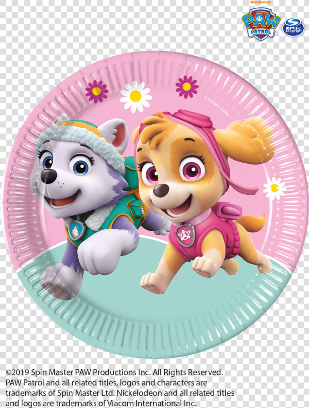 Paw Patrol Skye Everest Mint Tableware Party Decorations   Skye Y Everest Paw Patrol  HD Png DownloadTransparent PNG