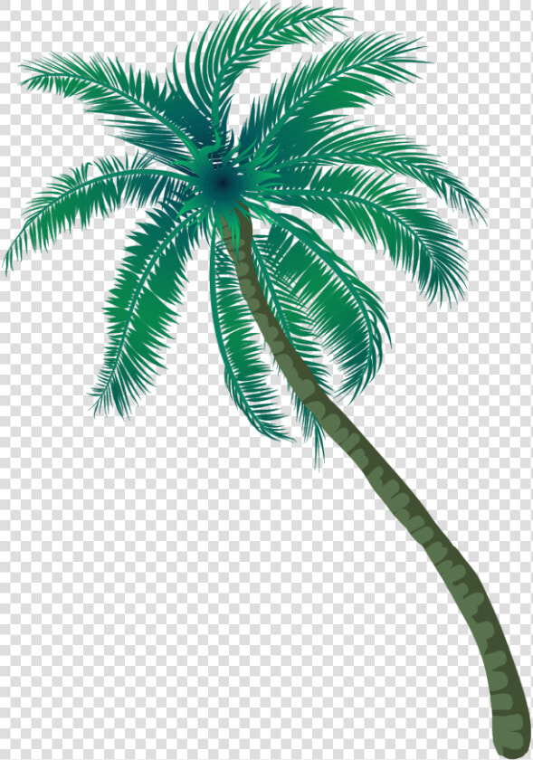  coqueiro  arvore  planta  verde  madeira  coco  praia   Coconut Tree Png Inages  Transparent PngTransparent PNG