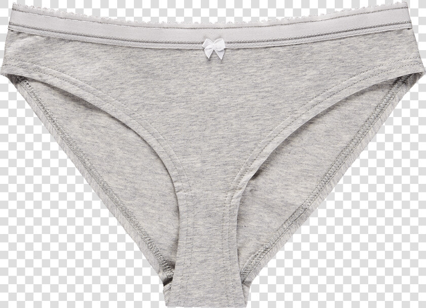  bikini Slip Heather Grey   Underpants  HD Png DownloadTransparent PNG