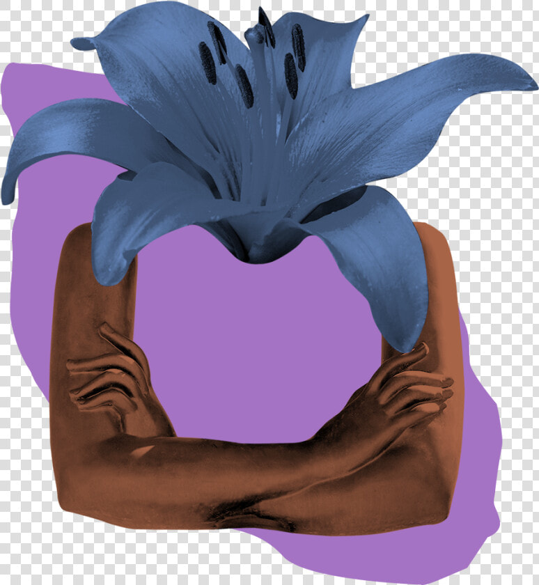 Bromelia  HD Png DownloadTransparent PNG