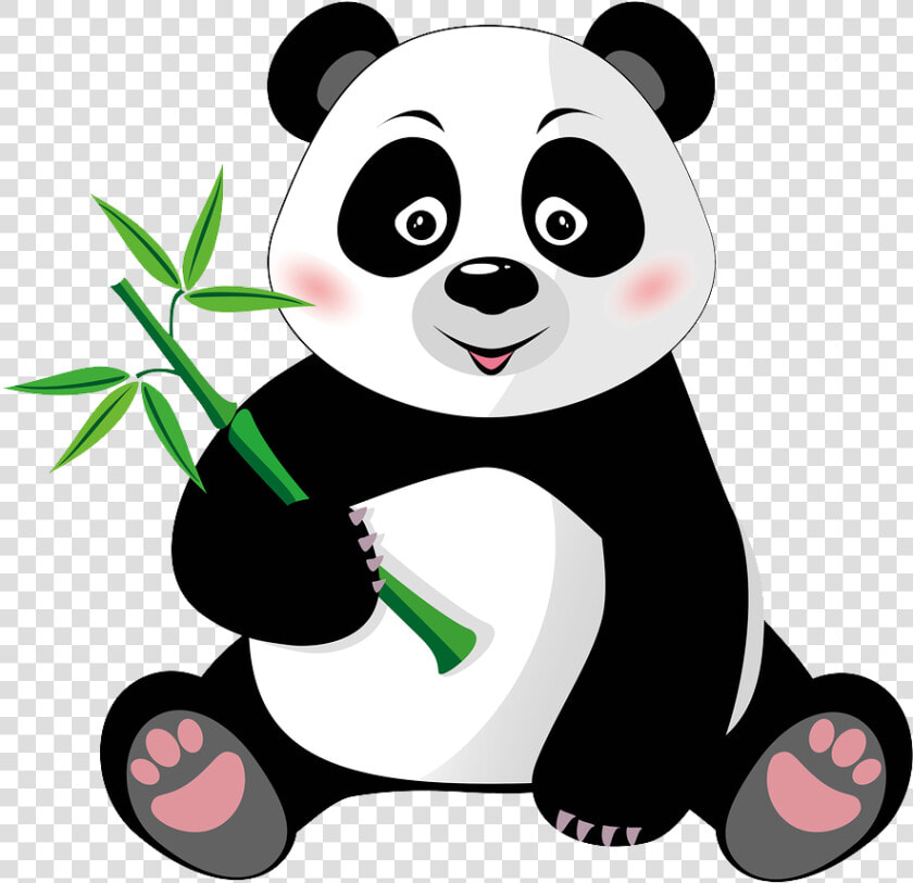 Cute Panda With Bamboo   Dibujos De Oso Panda  HD Png DownloadTransparent PNG