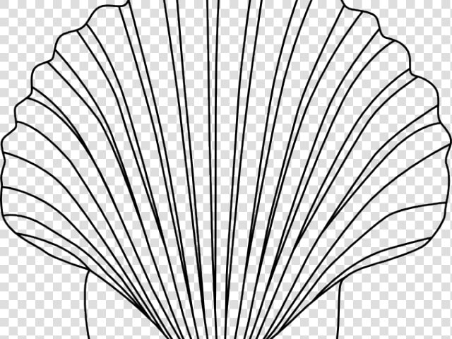 Shell Clipart Small Shell   Free Seashell Clipart Black And White  HD Png DownloadTransparent PNG