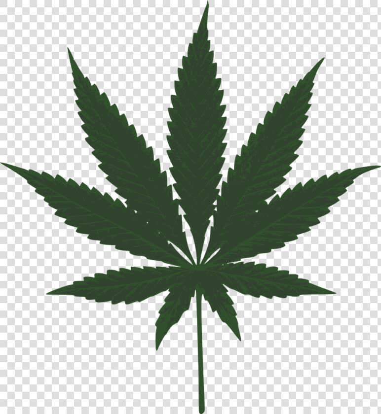 Marijuana  Leaf  Green  Pot  Cannabis  Plant  Leaves   Marijuana Leaf Clipart  HD Png DownloadTransparent PNG