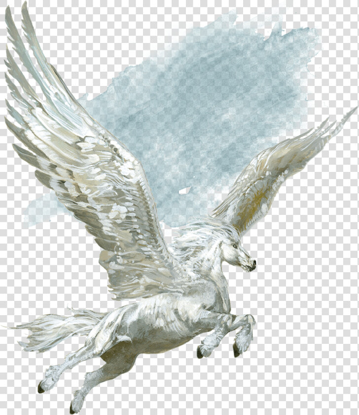 Pegasus Png Download Image   Pegasus D And D  Transparent PngTransparent PNG