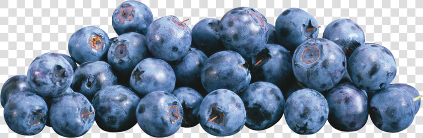 Blueberries Png  Transparent PngTransparent PNG