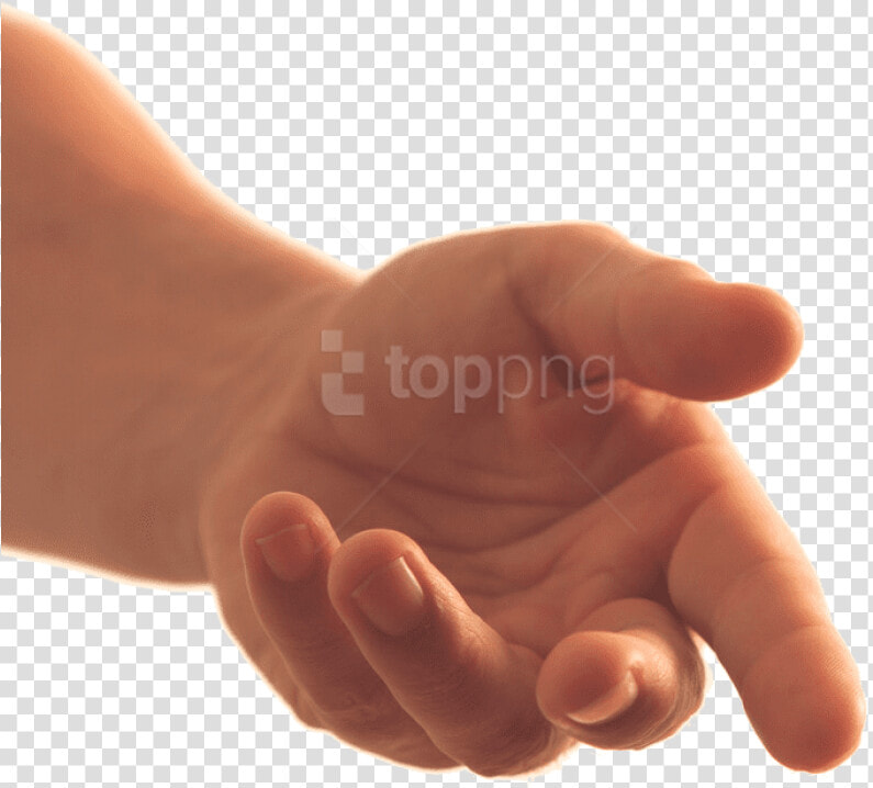 Asking Hand   Holding Out Hand Transparent  HD Png DownloadTransparent PNG