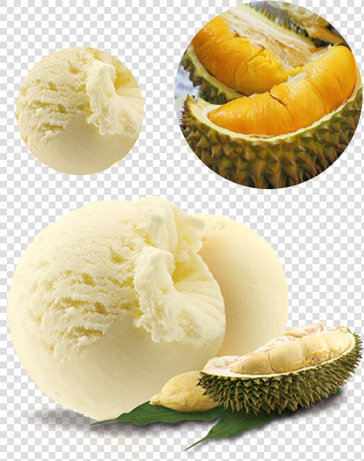 Transparent Durian Png   Durian Ice Cream Scoop  Png DownloadTransparent PNG