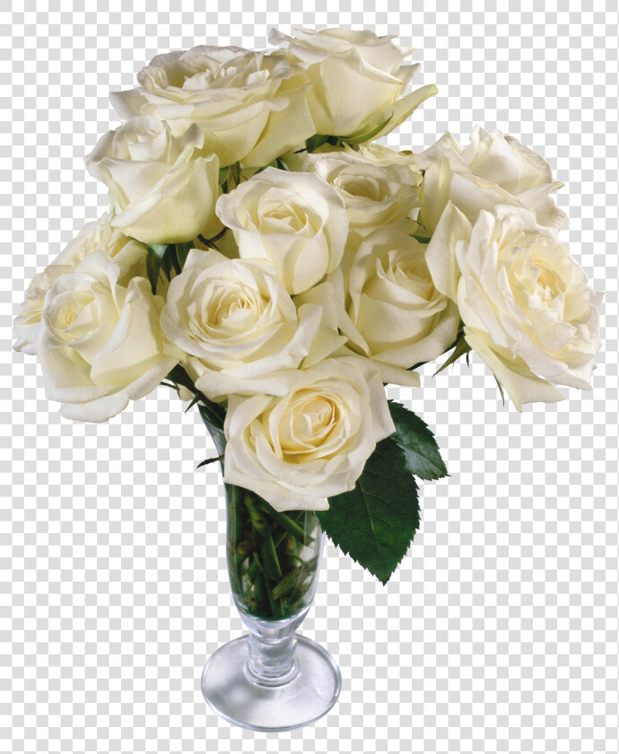 Flower Petal Cut Flowers Rose Bouquet Png   White Rose Bouquet Images Png  Transparent PngTransparent PNG