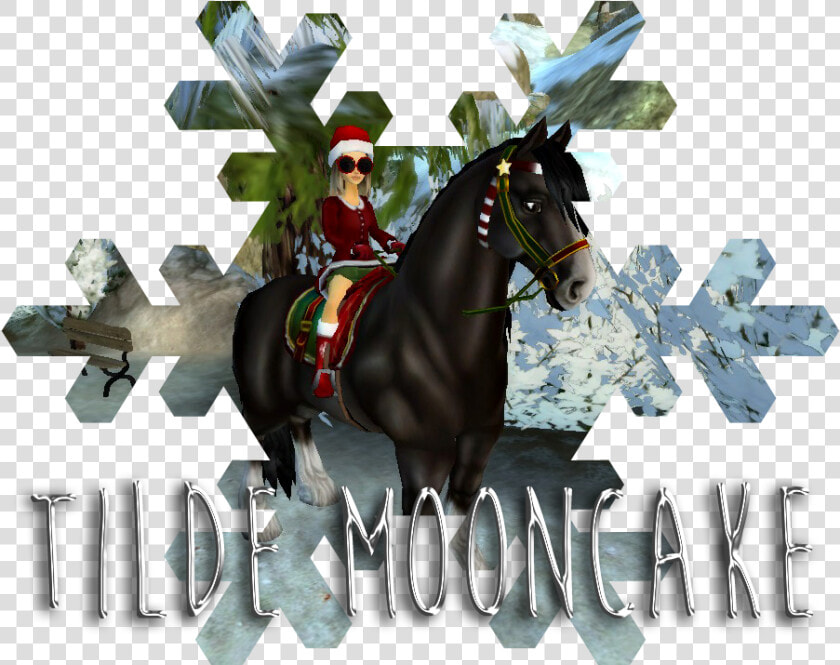 Tilde Mooncake   Stallion  HD Png DownloadTransparent PNG