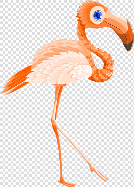 Flamingo Bird Vector Png Transparent Image   Transparent Flamingo Bird Vector  Png DownloadTransparent PNG