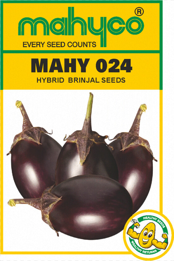 Brinjal Mahyco Seeds  HD Png DownloadTransparent PNG