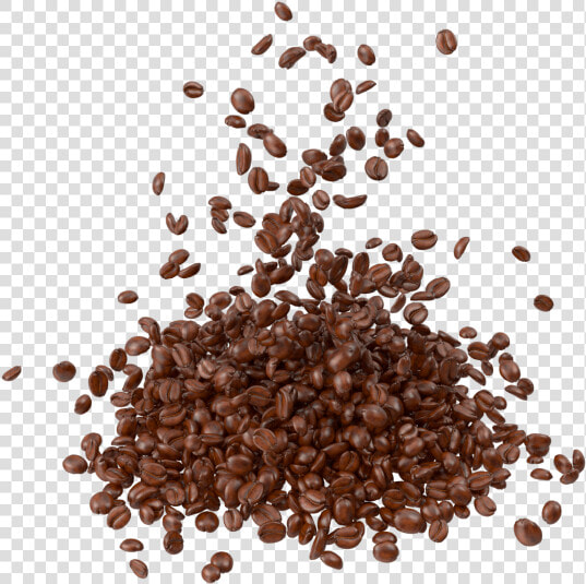 Scattered Coffee Bean Png  Transparent PngTransparent PNG