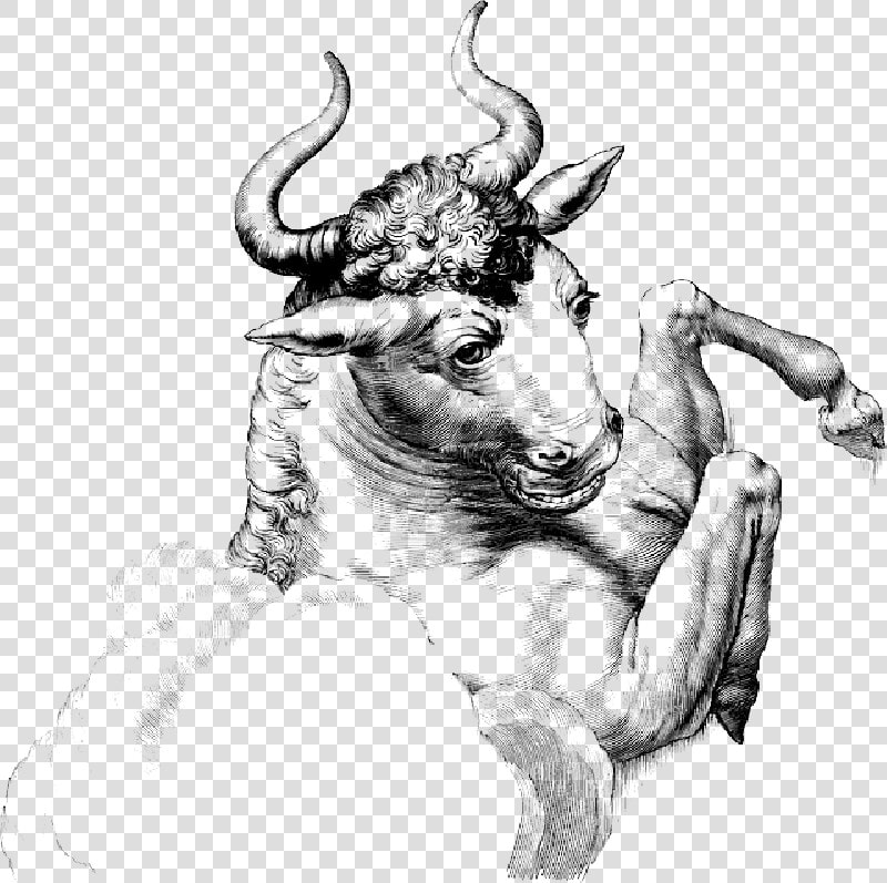 Bull  Buffalo  Horn  Animal  Mammal  Large   Celtic Mythology Gallic Mythology Giants Names  HD Png DownloadTransparent PNG