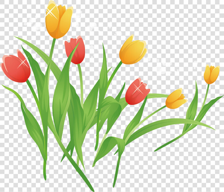 Tulip Cartoon Clip Art   Tulip Cartoon  HD Png DownloadTransparent PNG