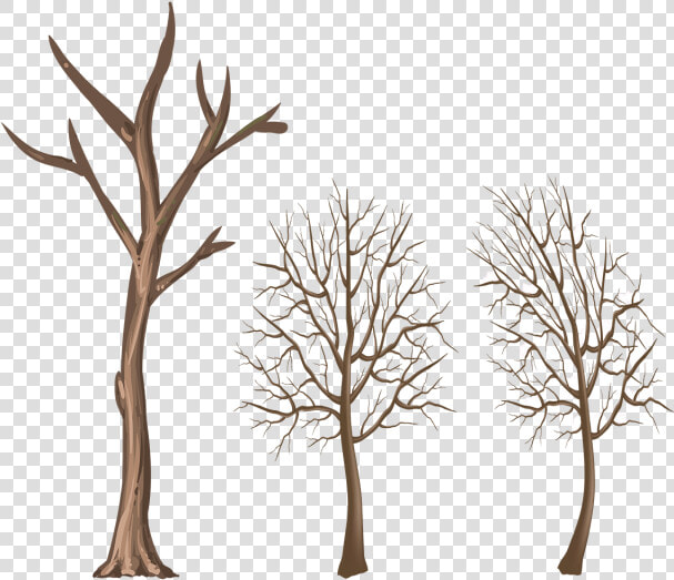 Winter Tree Trunk Png Clipart   Png Download   Branches Of Trees Png  Transparent PngTransparent PNG