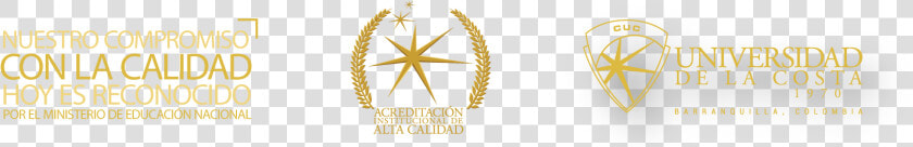 Calidad Png  Transparent PngTransparent PNG