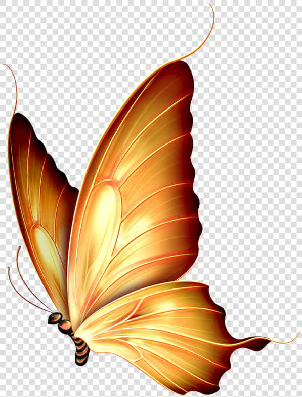 Stroke Drawing Butterfly   Pink Butterfly Png Transparent  Png DownloadTransparent PNG