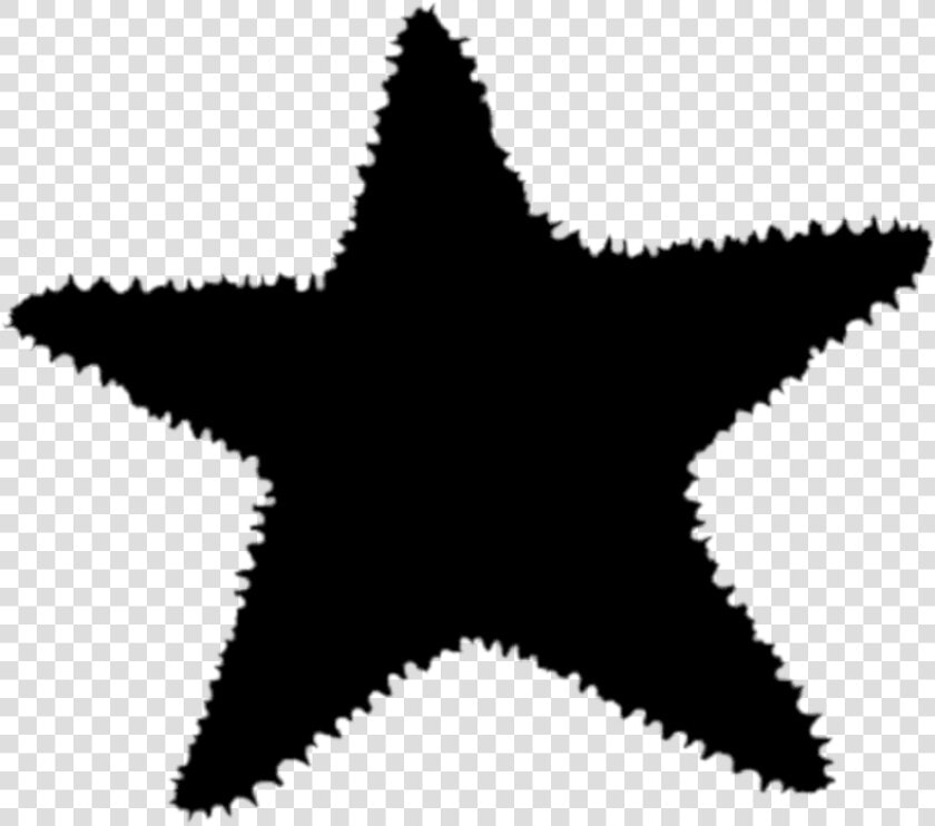 Starfish Silhouette Png   Macy  39 s North Star Strategy  Transparent PngTransparent PNG