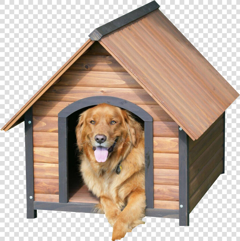 Dog In Cage Png   Dog In Kennel Png  Transparent PngTransparent PNG