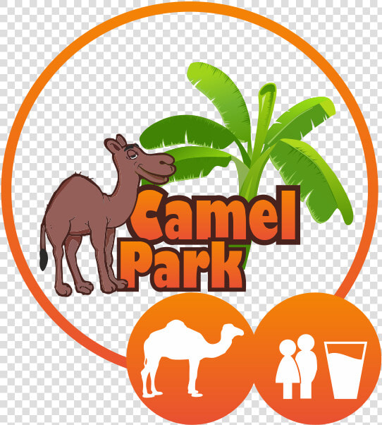 Camel Ride Appetizer  HD Png DownloadTransparent PNG