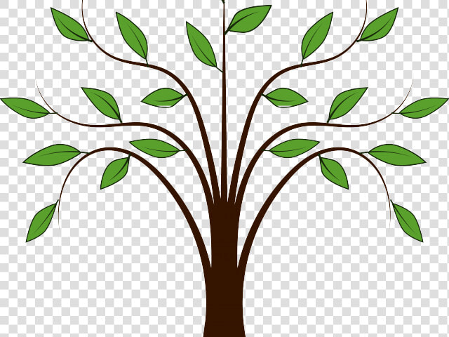 Roots Clipart Animated Tree   Cartoon Tree Branches Png  Transparent PngTransparent PNG