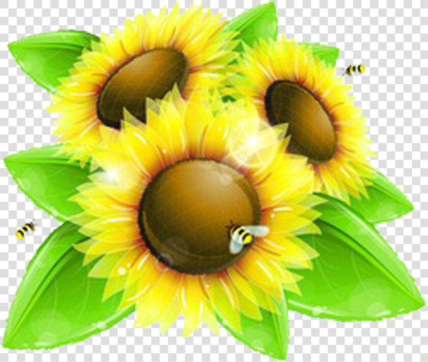 Sunflowers Clipart Bee   Honey Bees And Sunflower Background  HD Png DownloadTransparent PNG