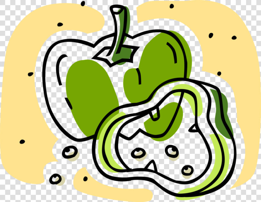 Vector Illustration Of Green Pepper Capsicum Bell Pepper  HD Png DownloadTransparent PNG