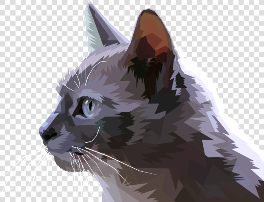 Domestic Short Haired Cat small To Medium Sized Cats kitten   Cat Head Drawing Profile  HD Png DownloadTransparent PNG