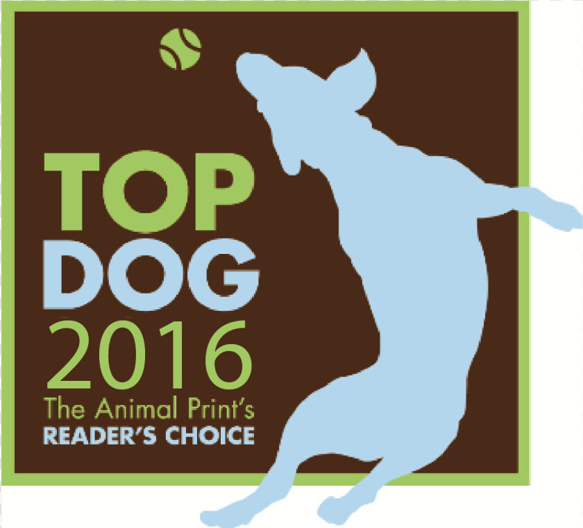 2016 Top Dog Winners Ri Animal Medical Center And Four   Poster  HD Png DownloadTransparent PNG