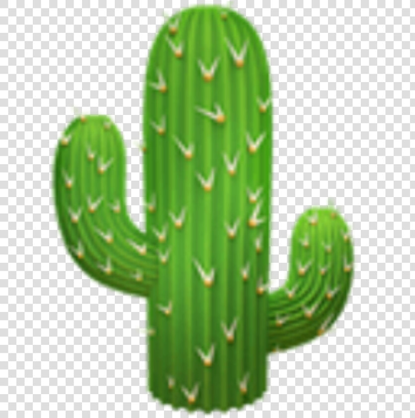  kaktus  cactus  green  cute  emoji  iphone  applemoji   Transparent Background Cactus Emoji  HD Png DownloadTransparent PNG